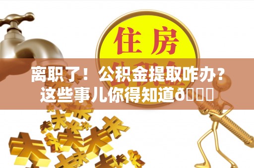 金州离职了！公积金提取咋办？这些事儿你得知道😎