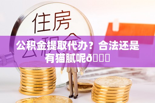 金州公积金提取代办？合法还是有猫腻呢😏